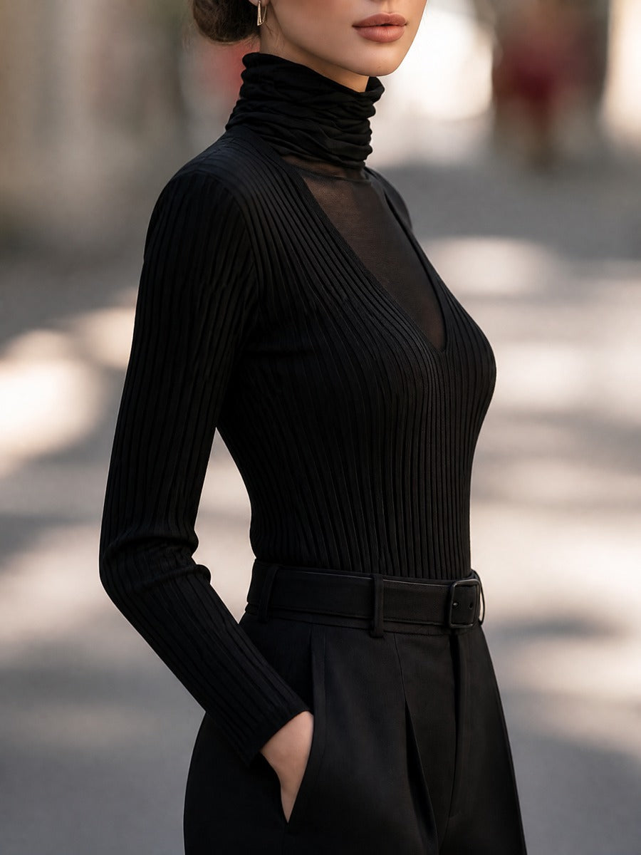 Mesh Turtleneck Ribbed Knit Top