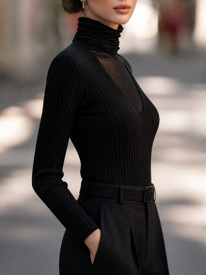 Mesh Turtleneck Ribbed Knit Top