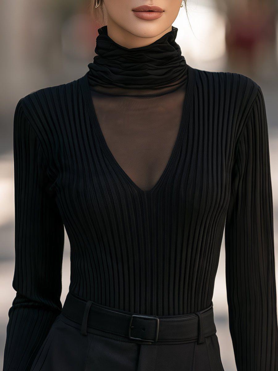 Mesh Turtleneck Ribbed Knit Top